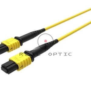 TRUNKS INDOOR/OUTDOOR MTP/MPO